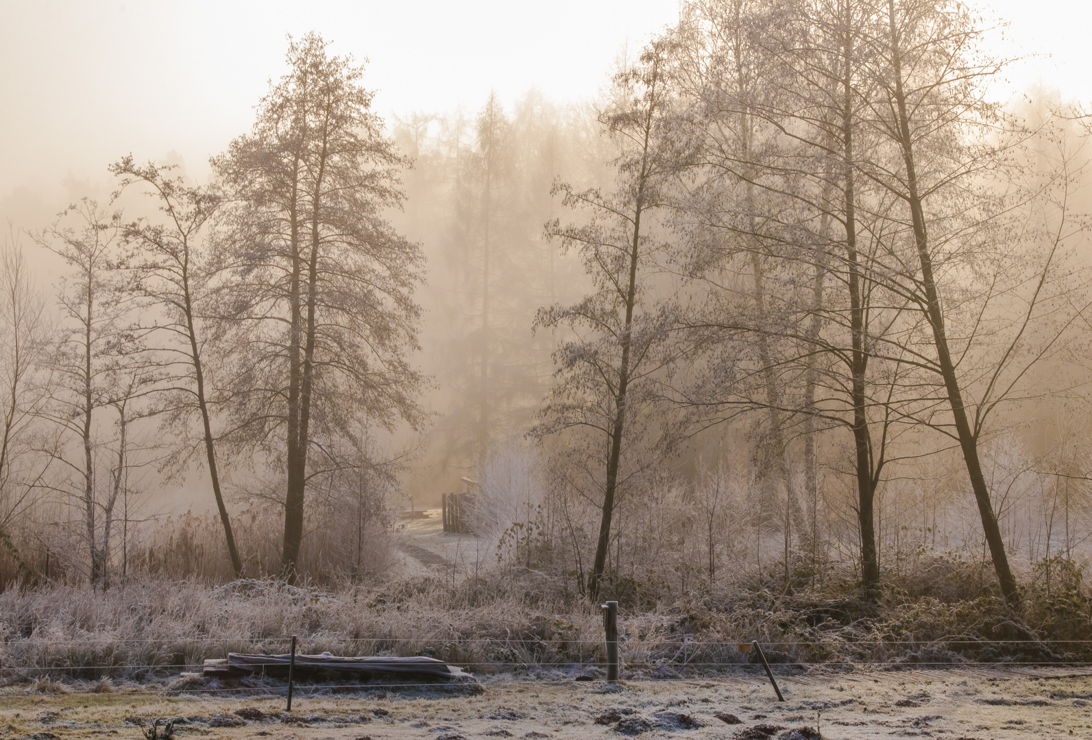 Ein Hauch von Winter