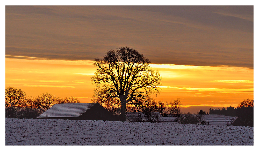 ein Hauch von Winter..