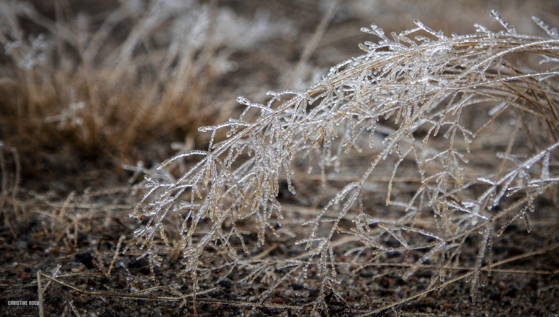 Ein Hauch von Winter