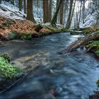 Ein Hauch von Winter am Silberbach