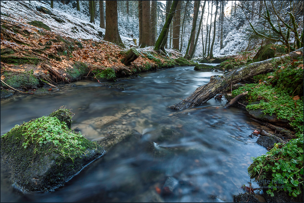 Ein Hauch von Winter am Silberbach Foto & Bild landschaft, bach
