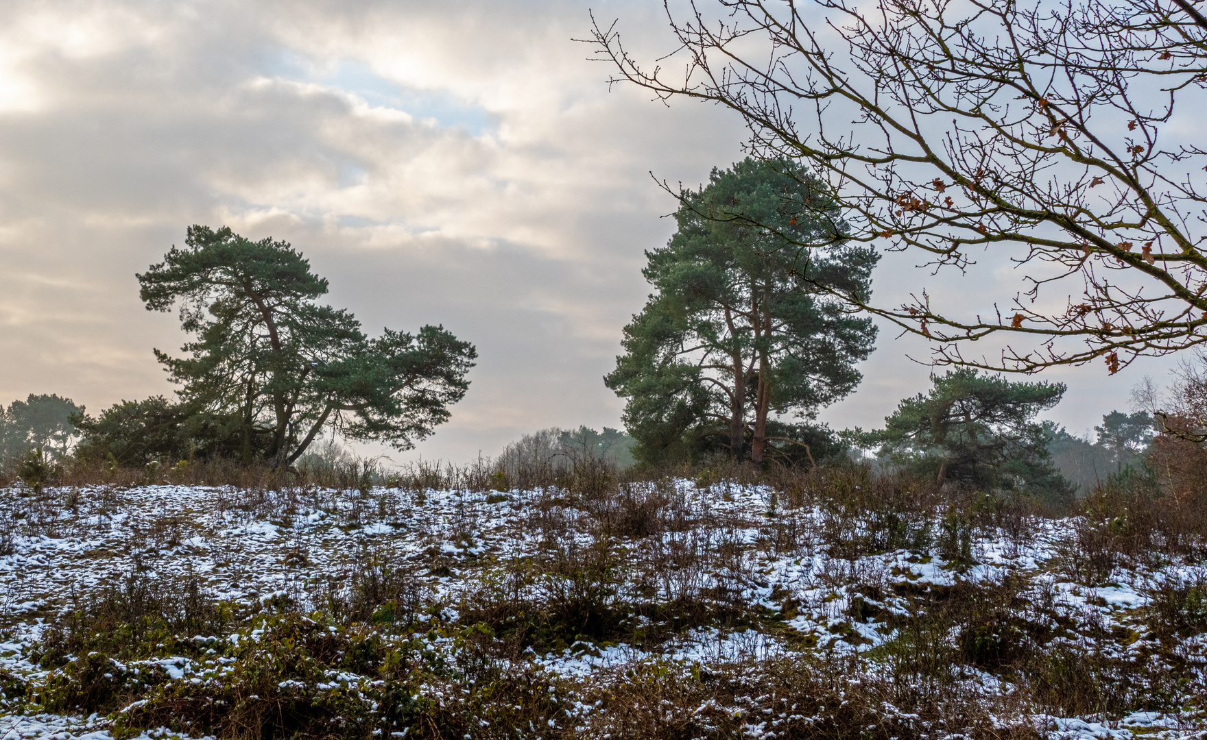 Ein Hauch von Winter