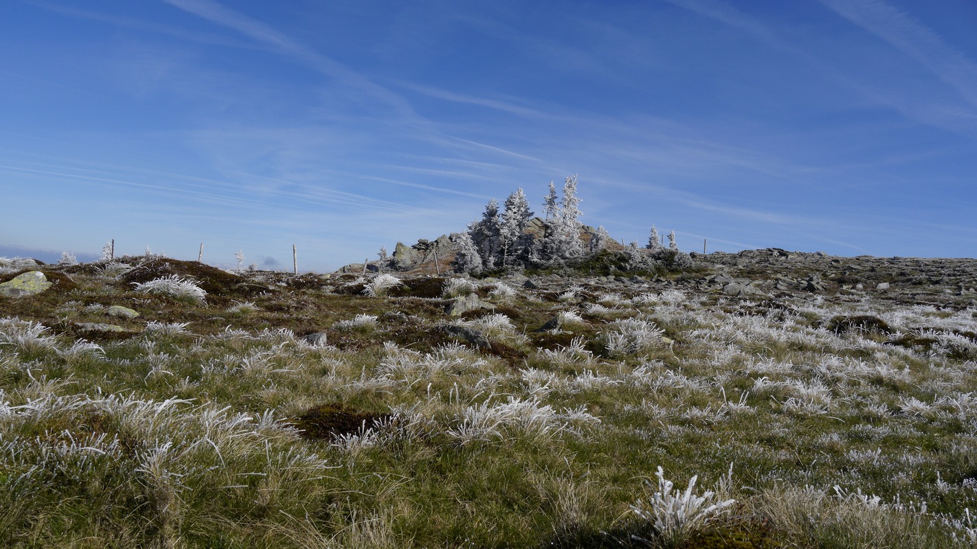 Ein Hauch von Winter