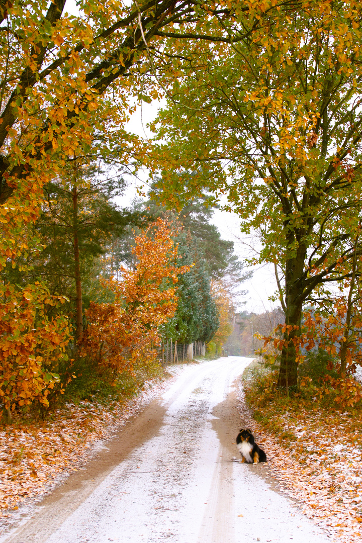 Ein Hauch von Winter