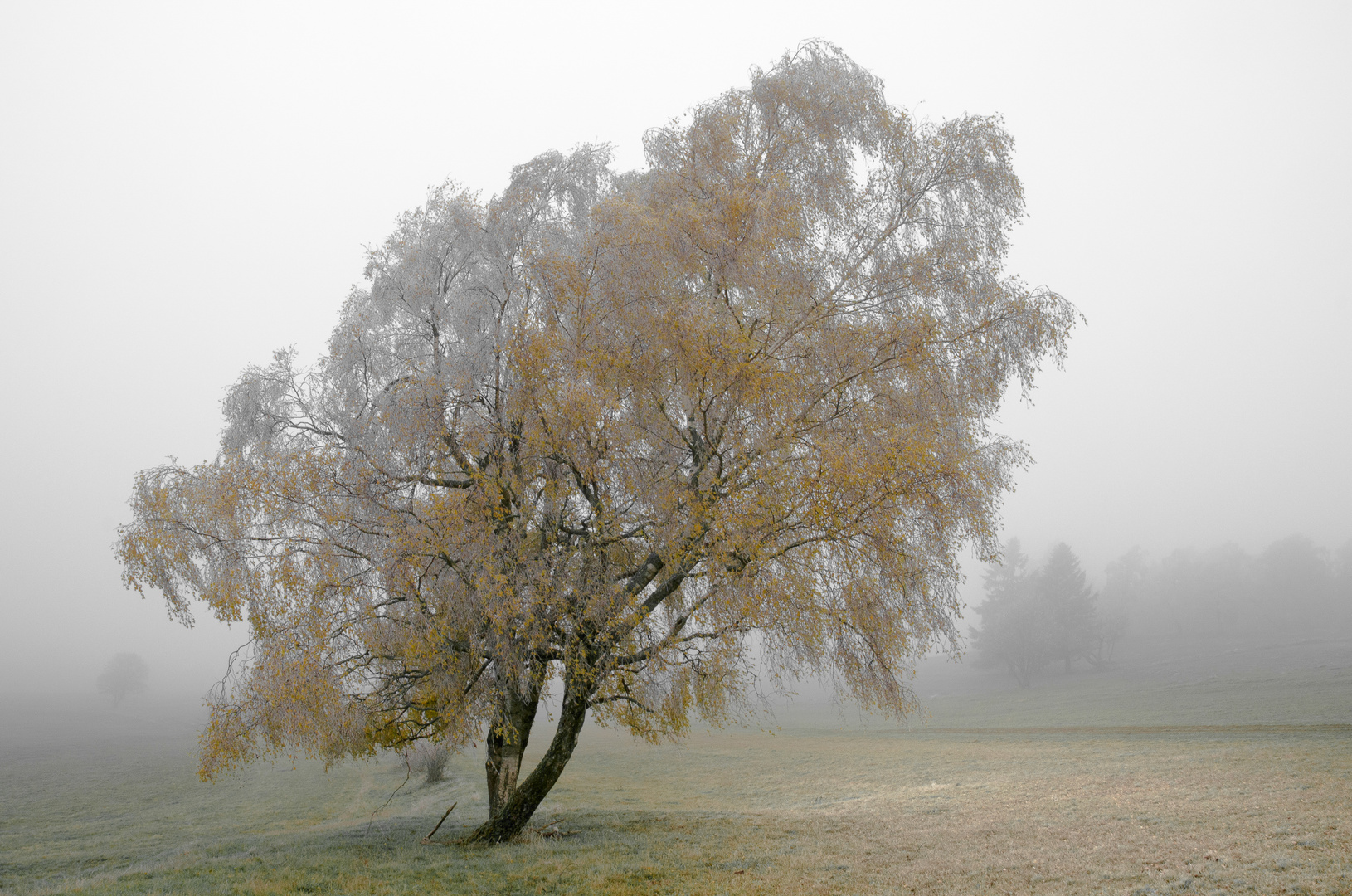 Ein Hauch von Winter