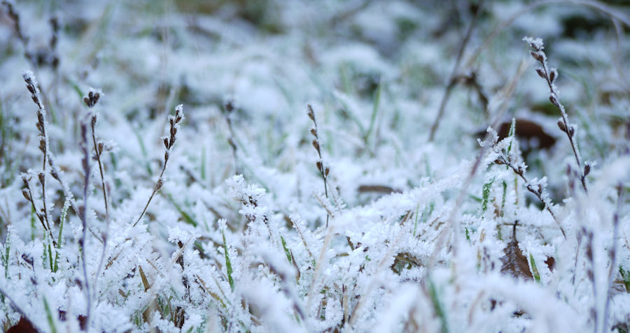 ein Hauch von Winter