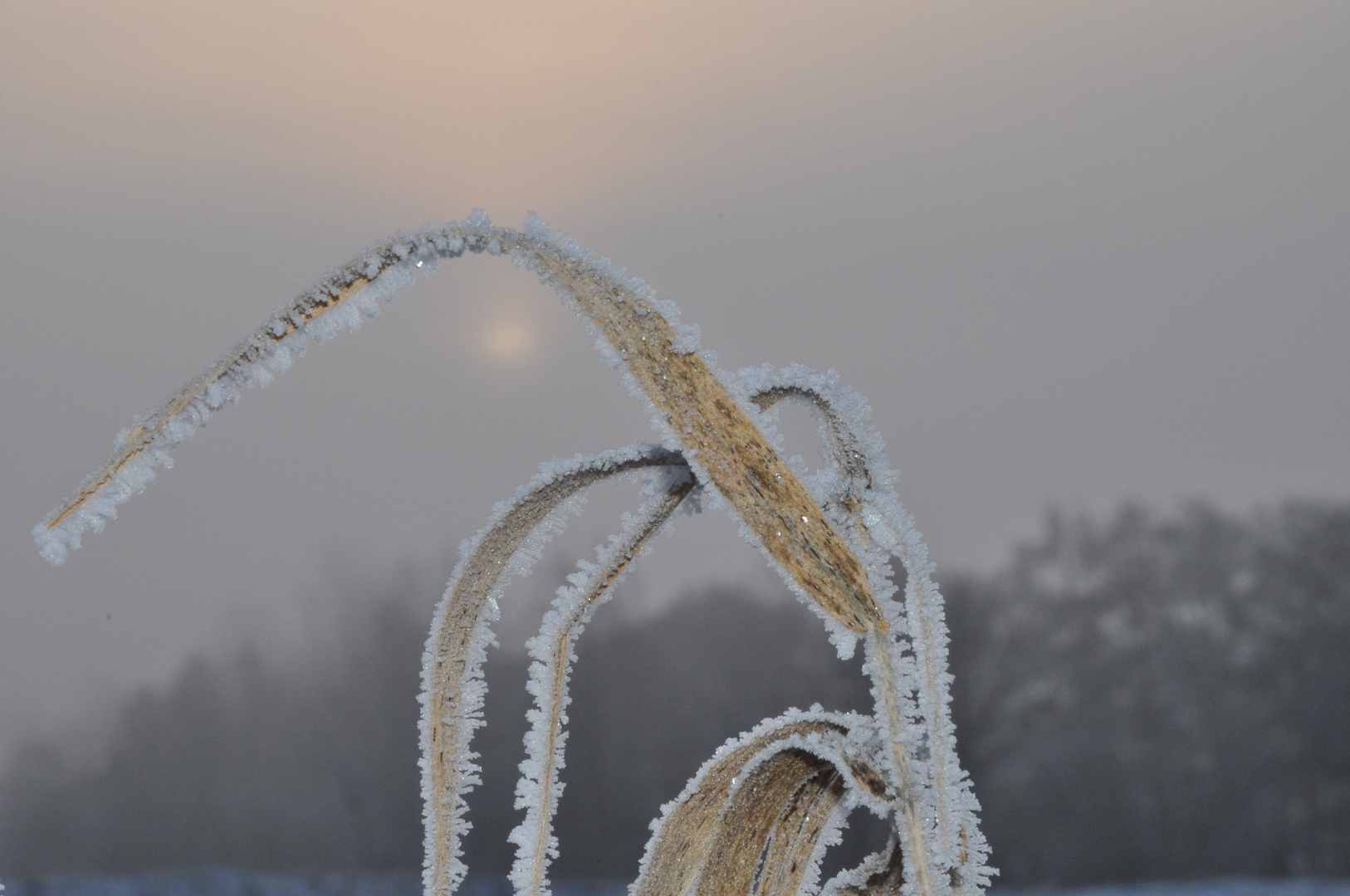 Ein Hauch von Winter