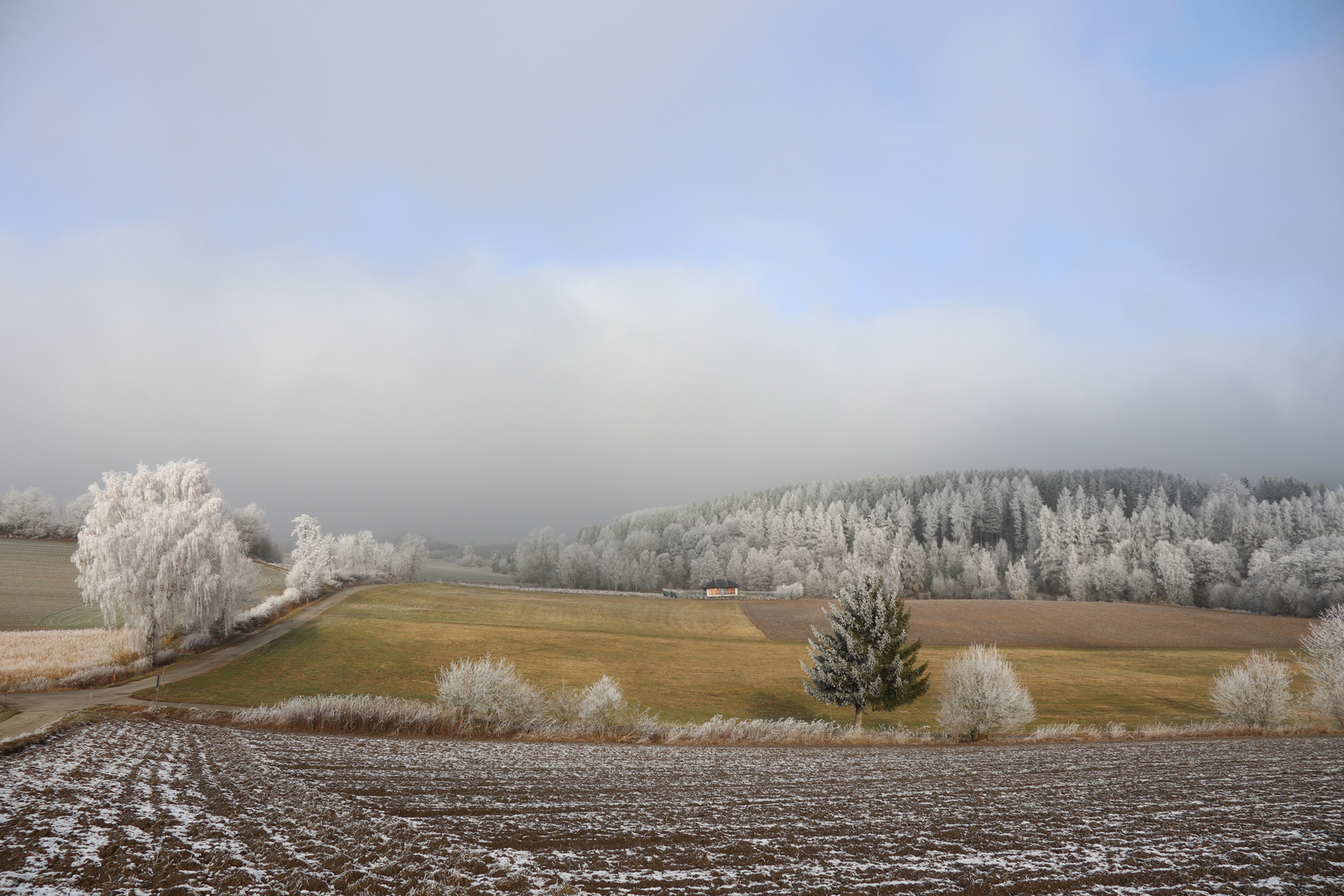 Ein Hauch von Winter