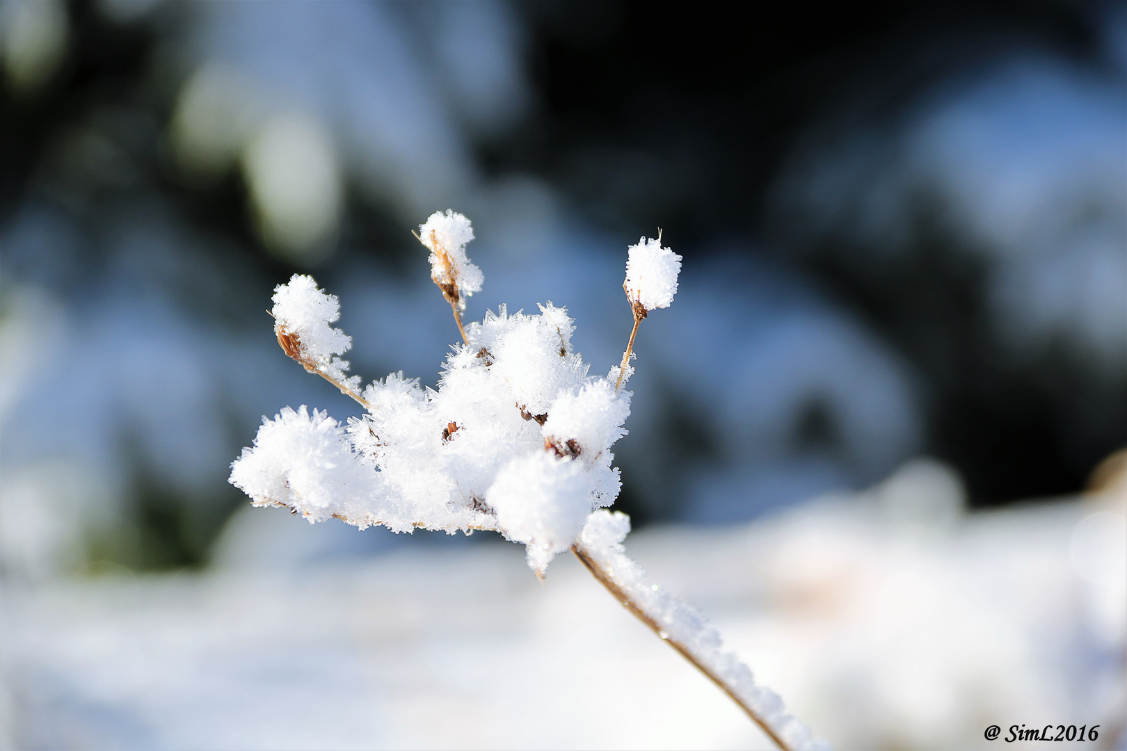 Ein Hauch von Winter...