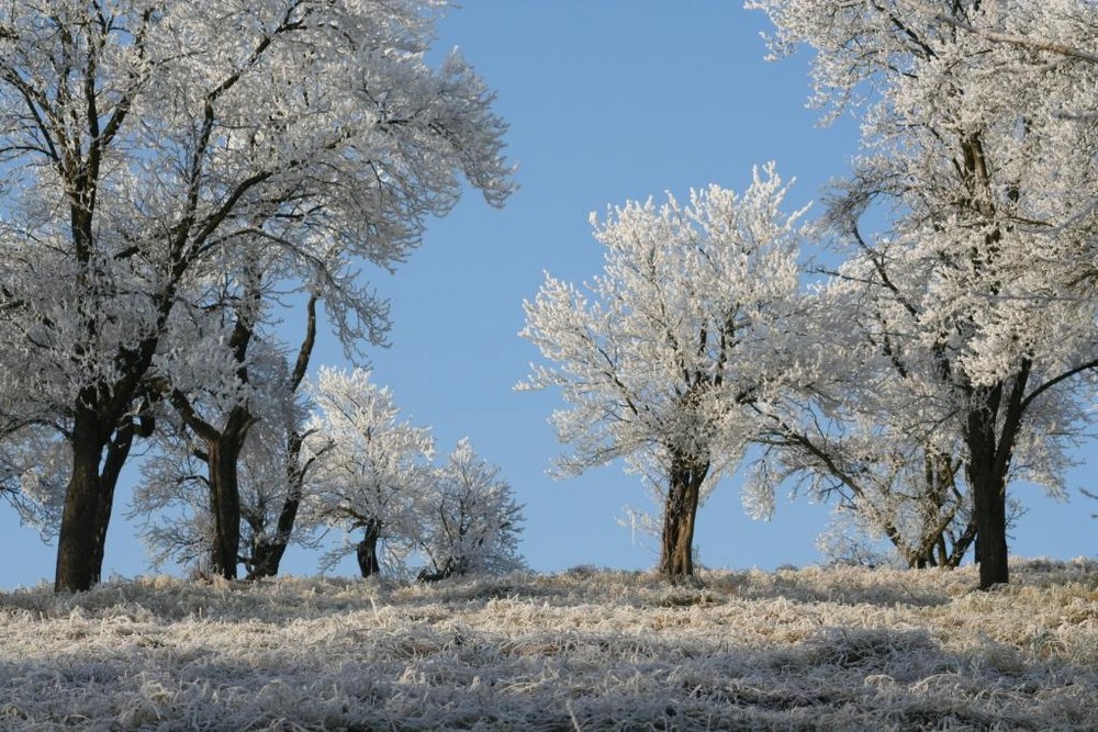 ein hauch von winter