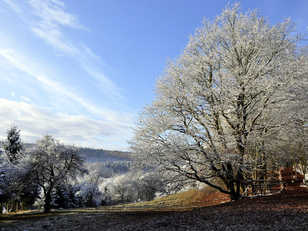 ein Hauch von Winter