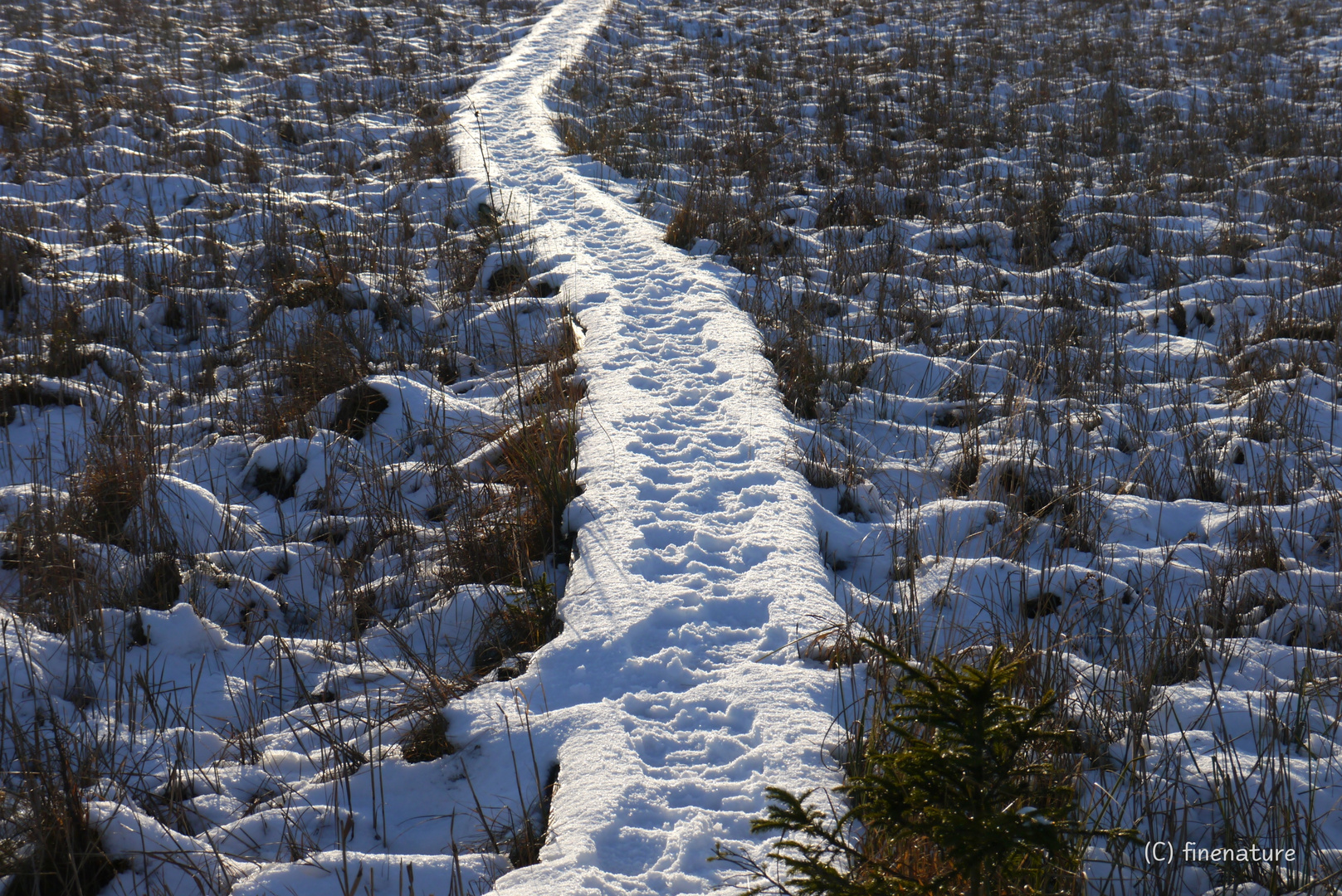 Ein Hauch von Winter