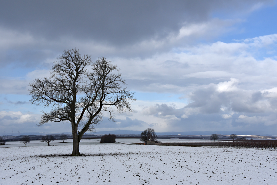 ein Hauch von Winter