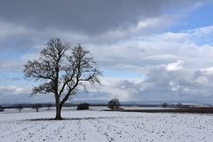 ein Hauch von Winter