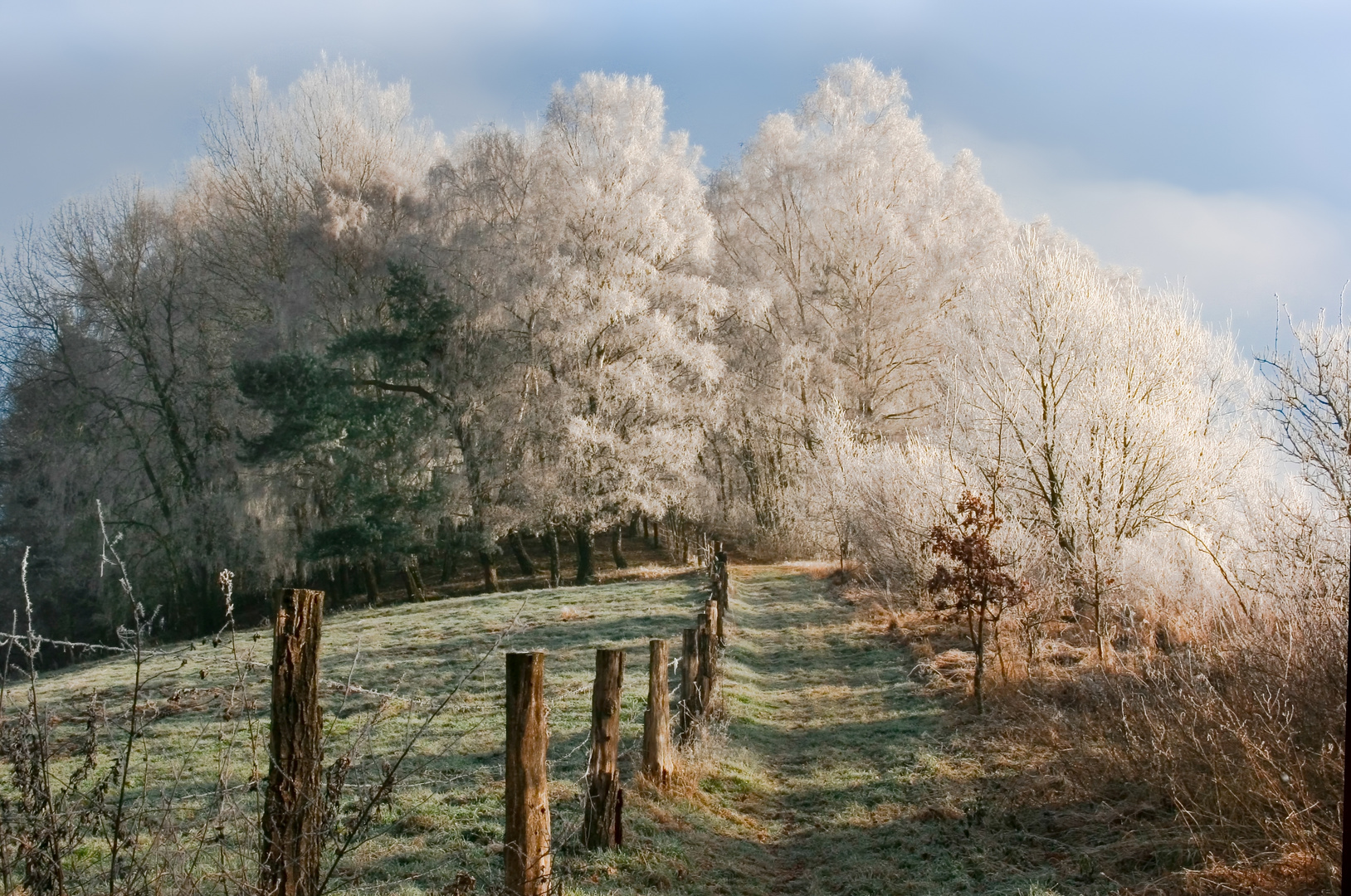 ein hauch von winter