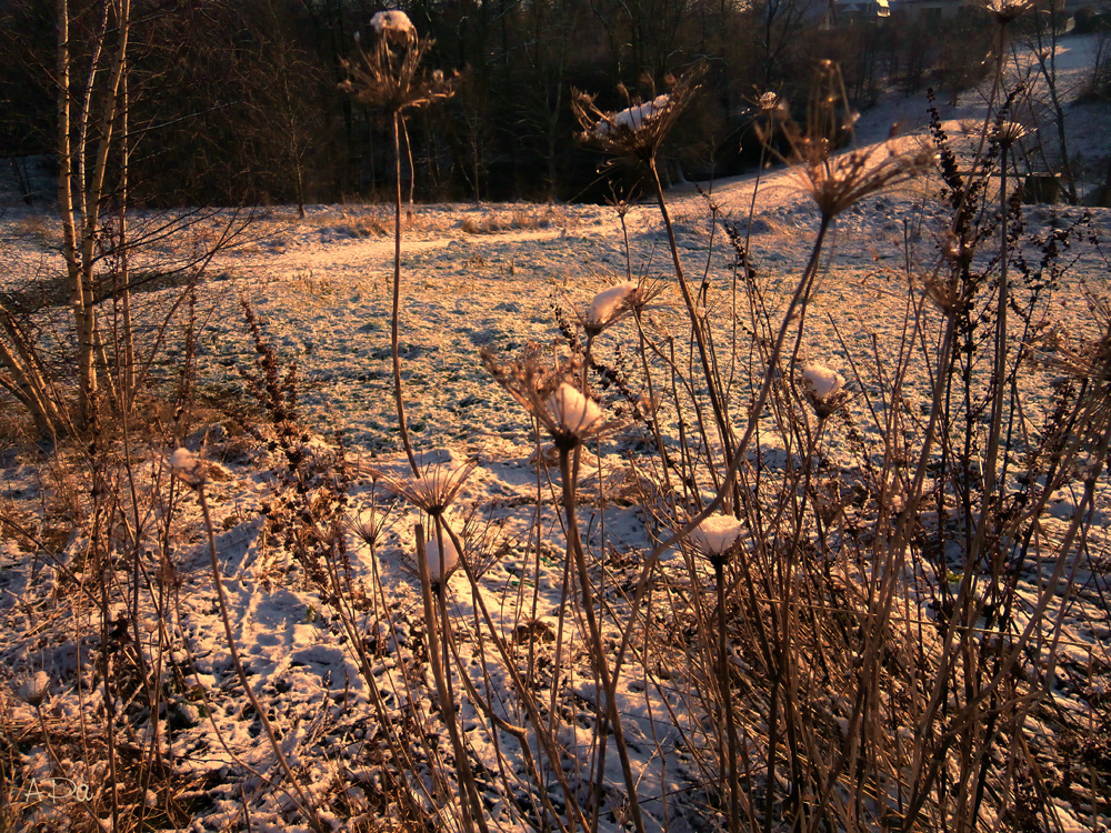 Ein Hauch von Winter...