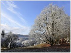 ein Hauch von Winter