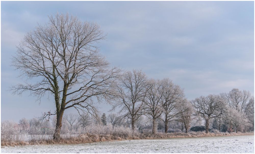 ein Hauch von Winter