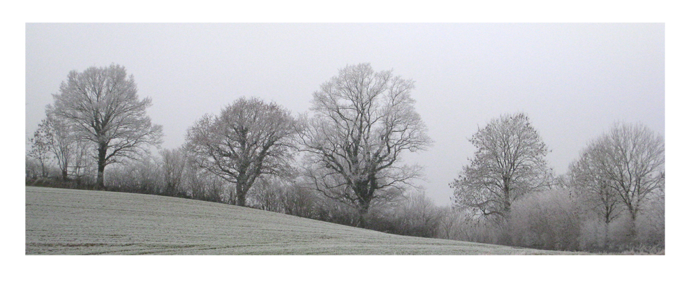 Ein Hauch von Winter im Norden