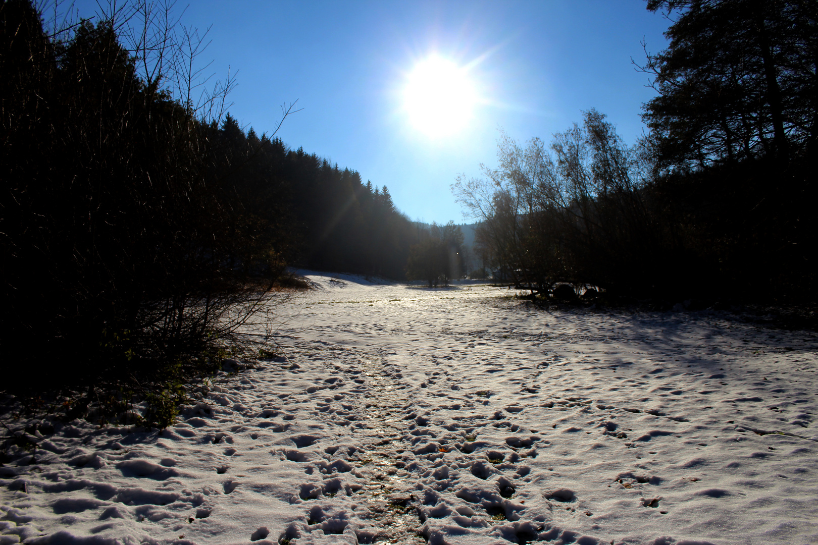 Ein Hauch von Winter in Ilmenau