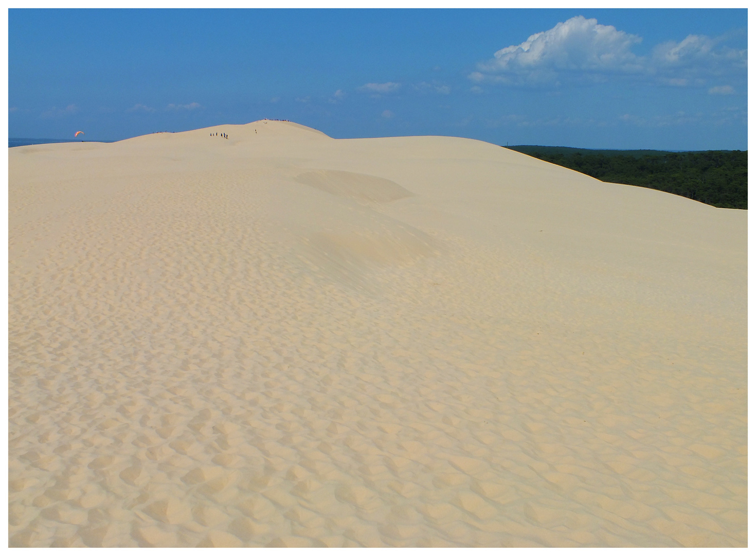 Ein Hauch von Wüste - Dune du Pilat (III)