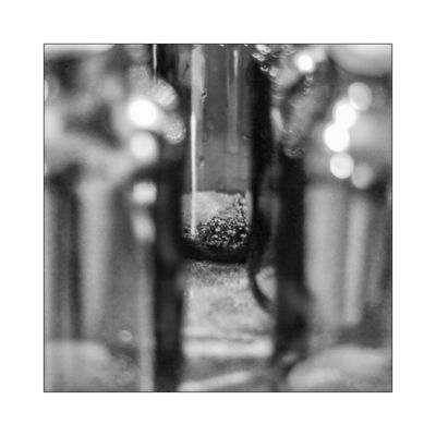 Bier Bilder & Fotos