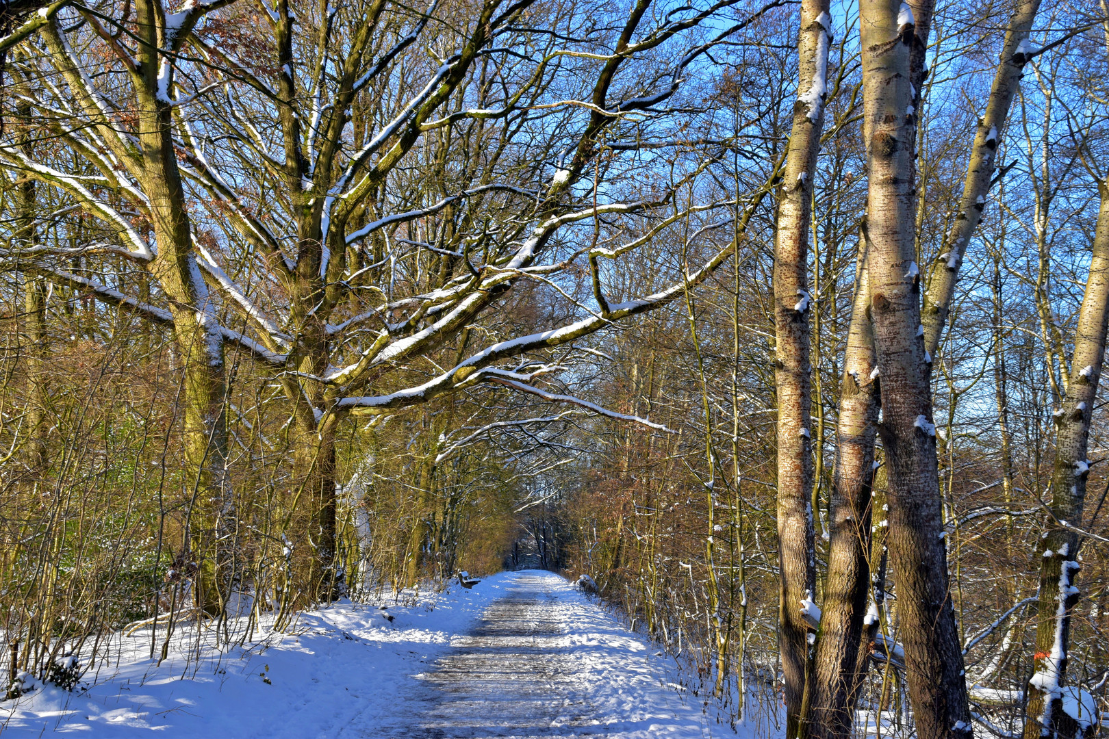 ein hauch Winter