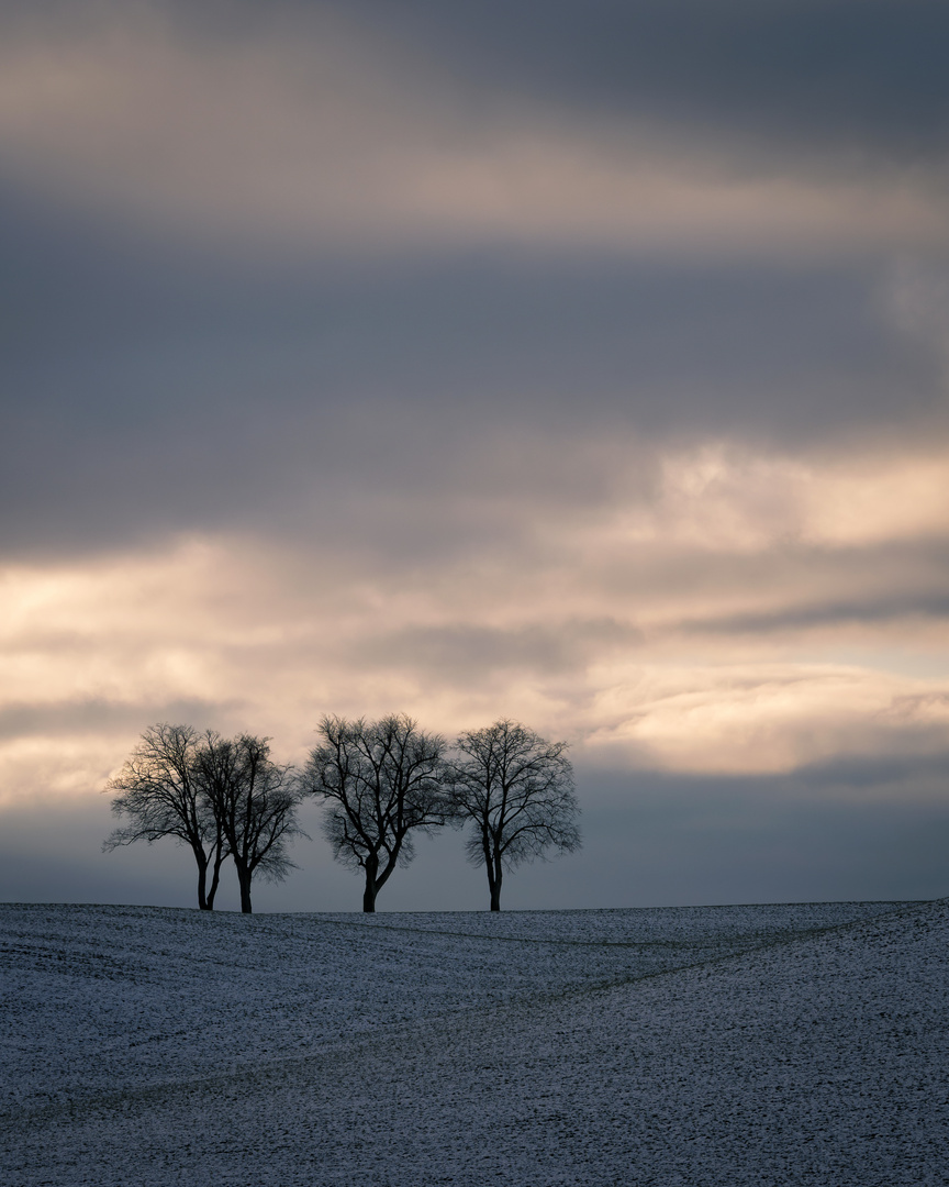 Ein Hauch Winter