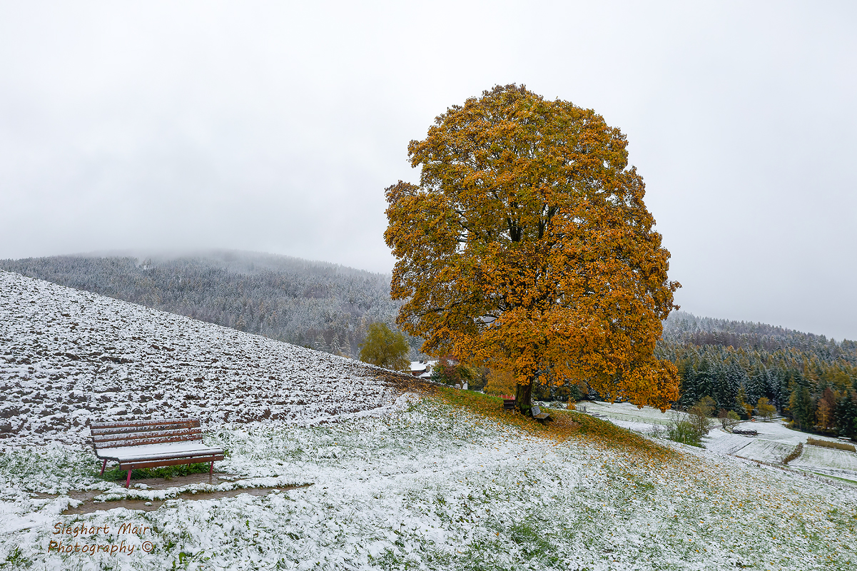 Ein Hauch Winter