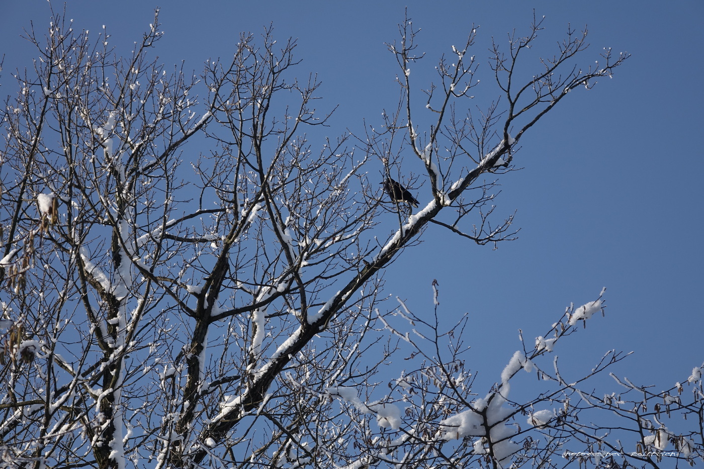 Ein Hauch Winter.....