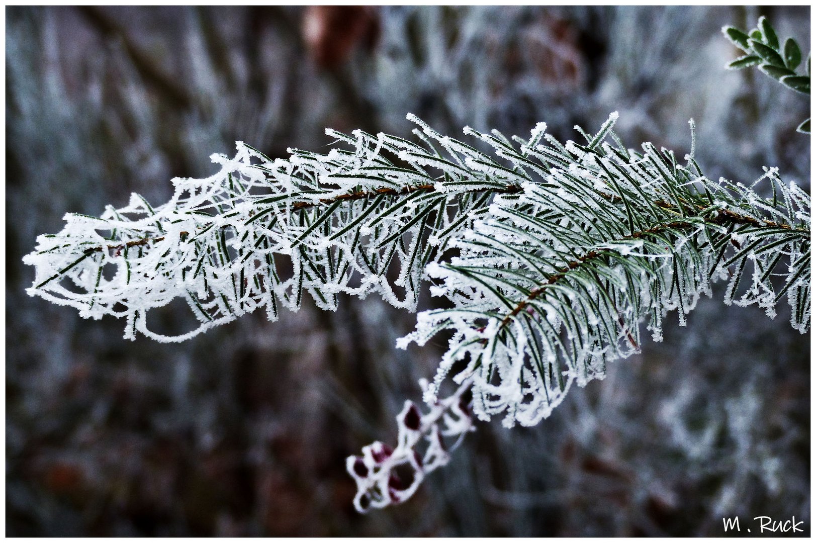 Ein Hauch Winter vom Wochenende