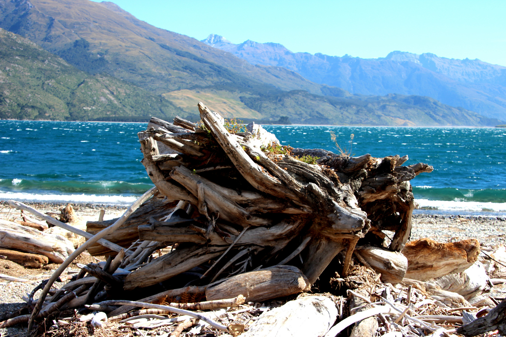 ein Haufen Holz