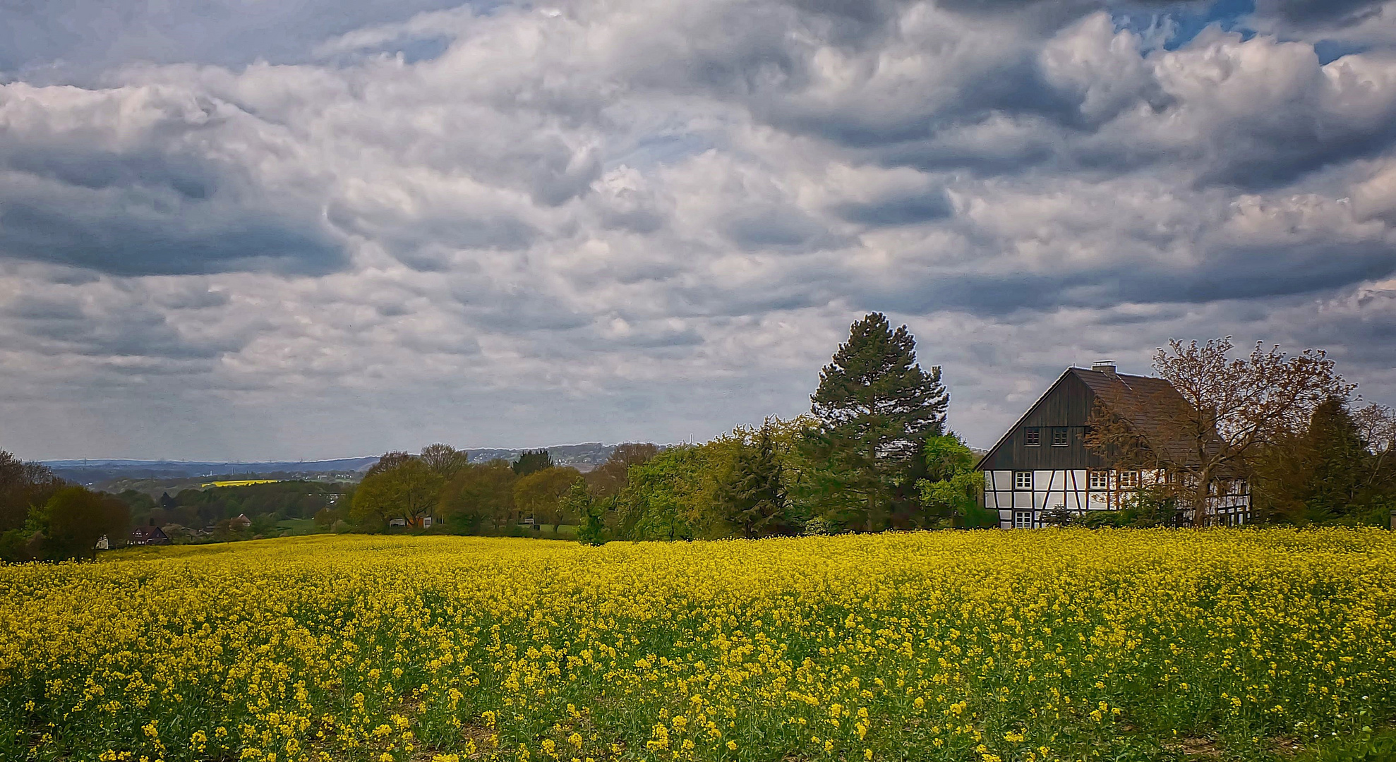 Ein Haus am Rapsfeld