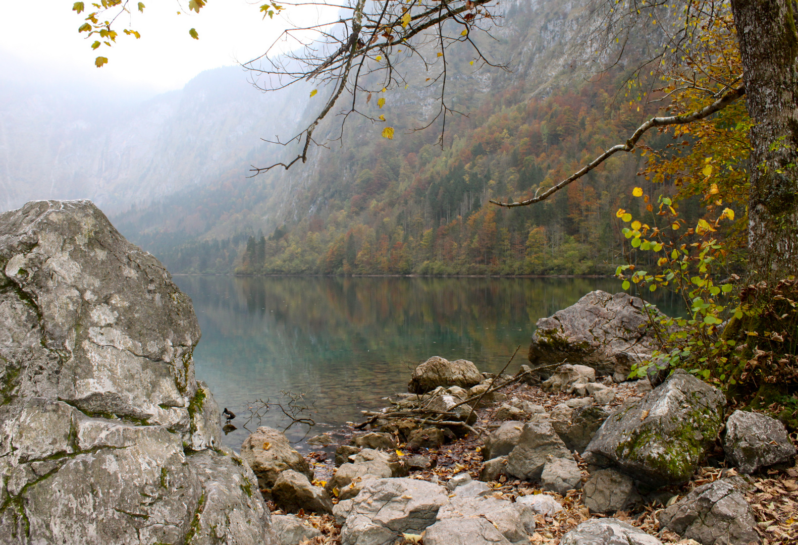 Ein Haus am See