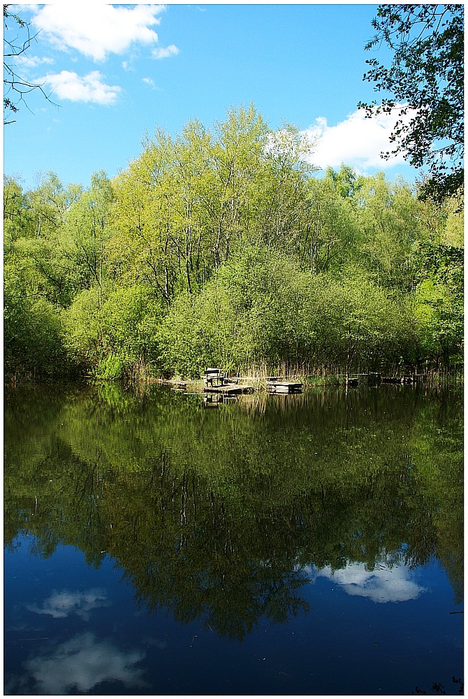 Ein Haus Am See Foto Bild Deutschland Europe Hamburg Bilder Auf Fotocommunity