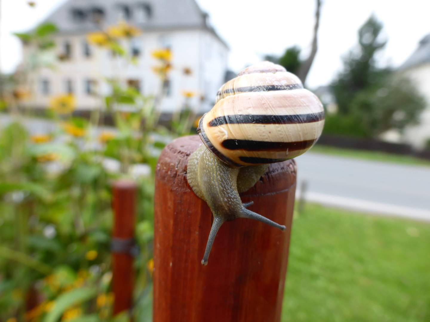 Ein Haus auf Wanderschaft