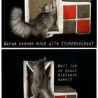 Ein Haus für Wilma