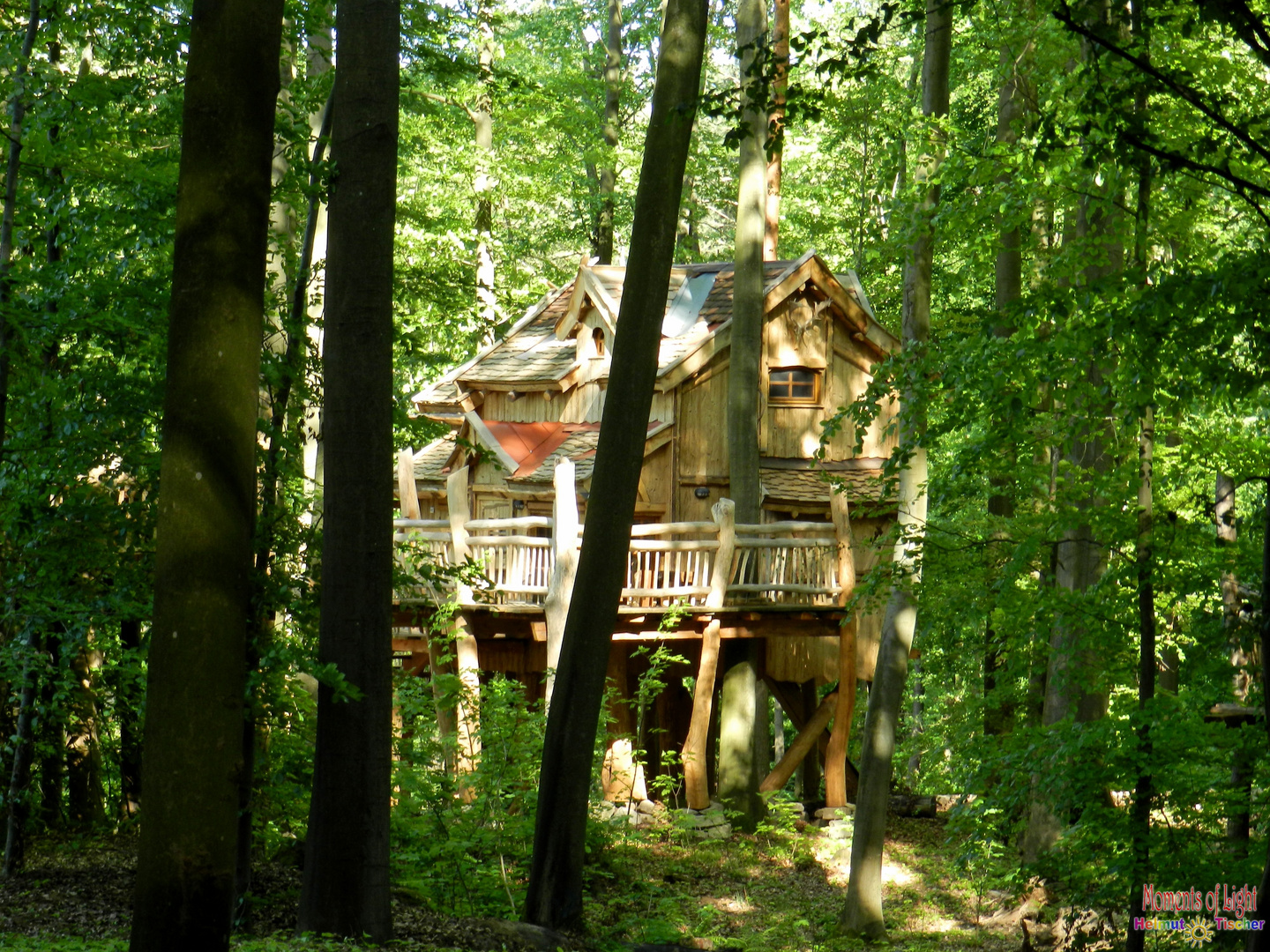 Ein Haus im Grünen