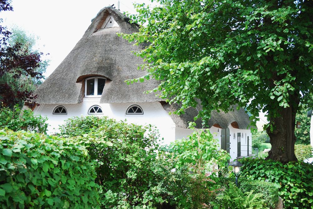 EIN HAUS IM GRÜNEN