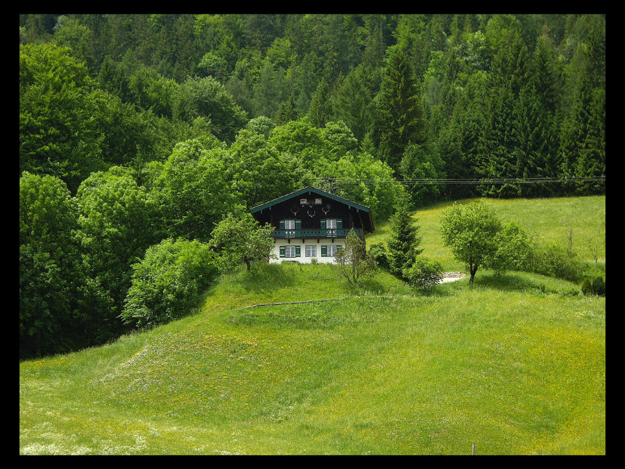 Ein Haus im grünen.