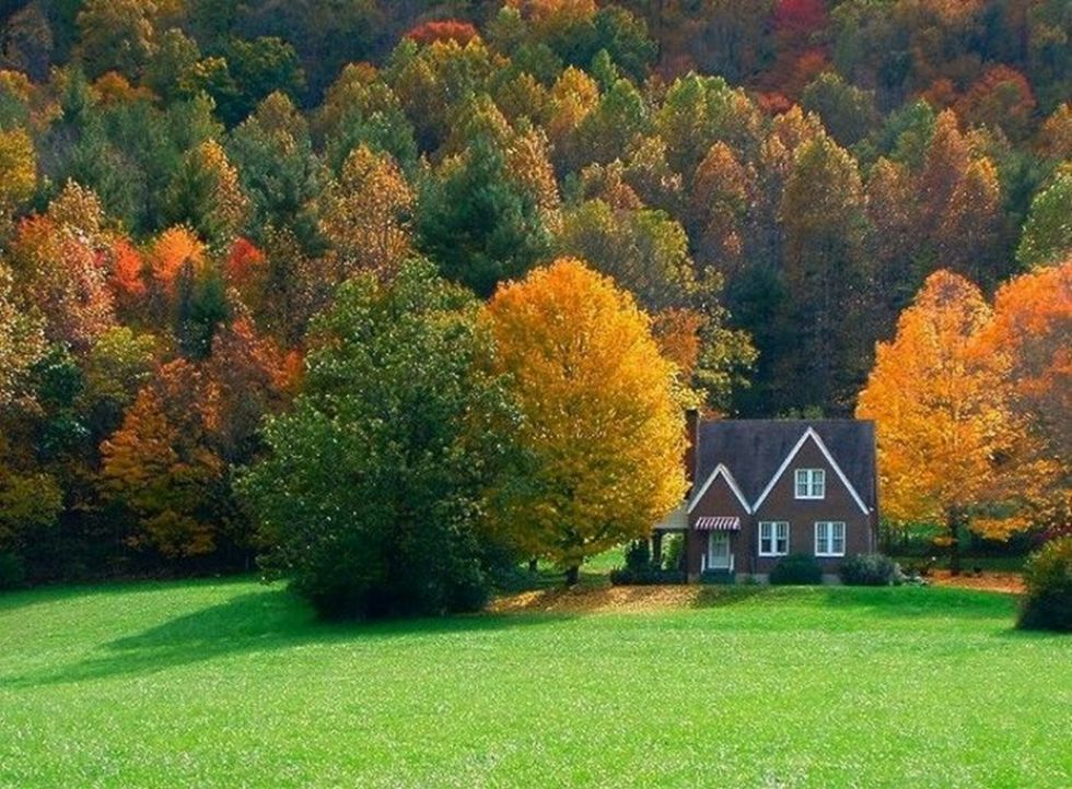 ein Haus im Grünen