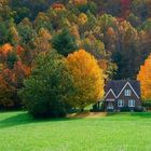 ein Haus im Grünen