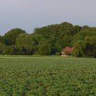 Ein Haus im Grünen