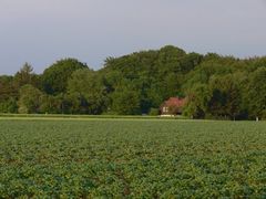 Ein Haus im Grünen