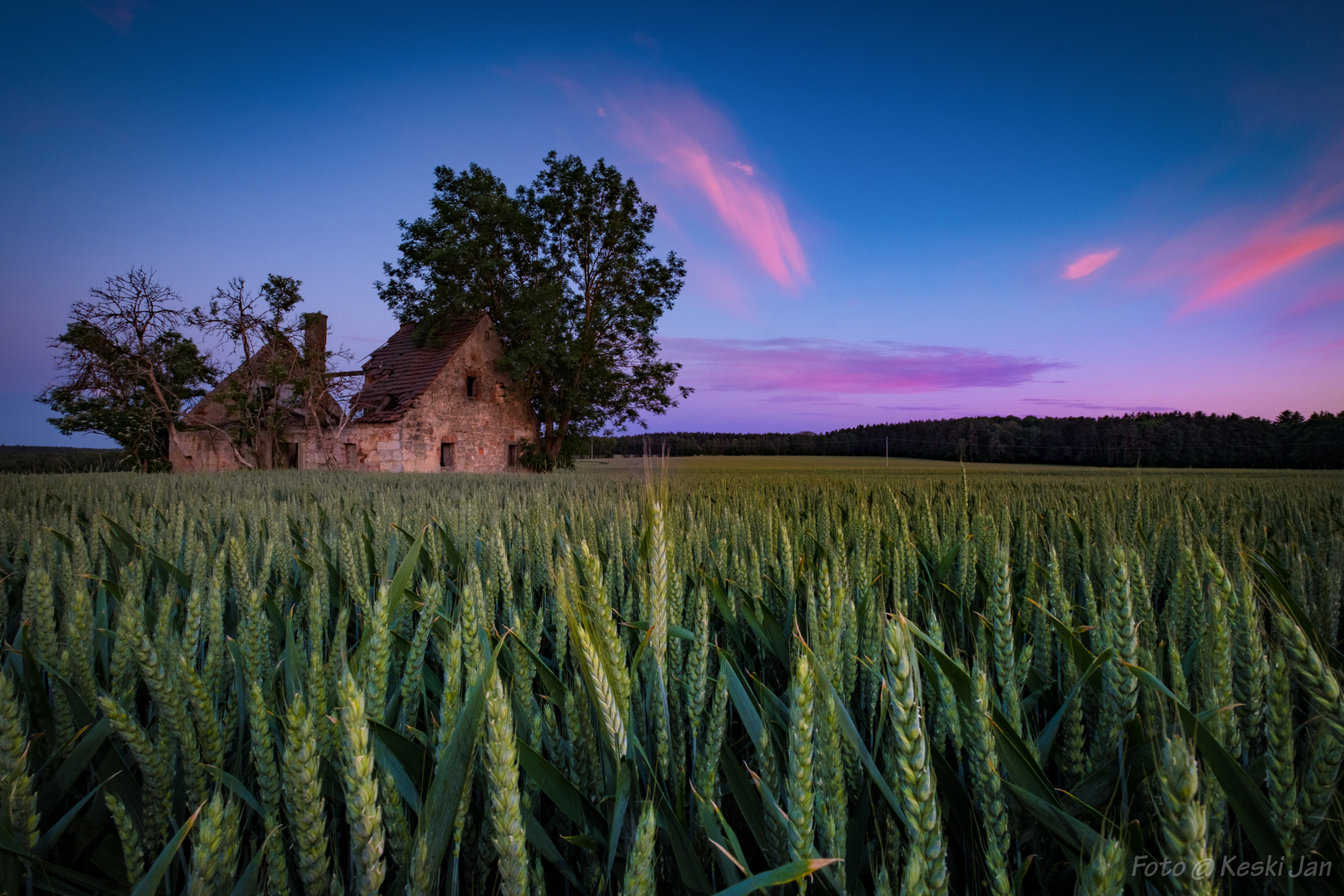 Ein Haus im Kornfeld