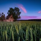 Ein Haus im Kornfeld