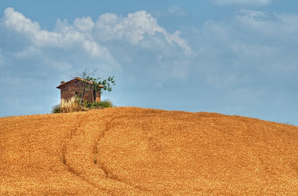 Ein Haus im Kornfeld