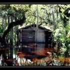 Ein Haus im Sumpf