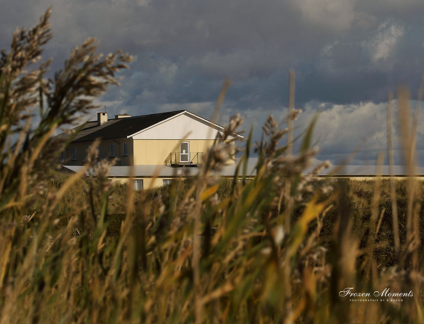 Ein Haus in den Dünen