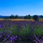 Ein Haus in der Provence 